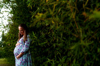 Jason Talley Photography - Jess & Scott (Maternity)-07643 copy