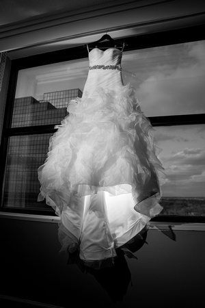 Droke Wedding - Hilton North - Houston, Texas-06623-2