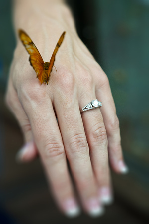 Engagement - Alicia & Jeff - Jason Talley Photography-01276